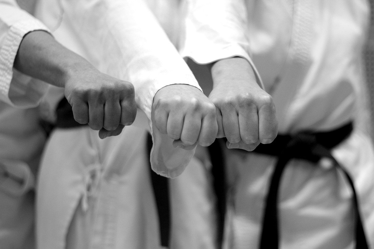 karate, battle, fist-7844492.jpg