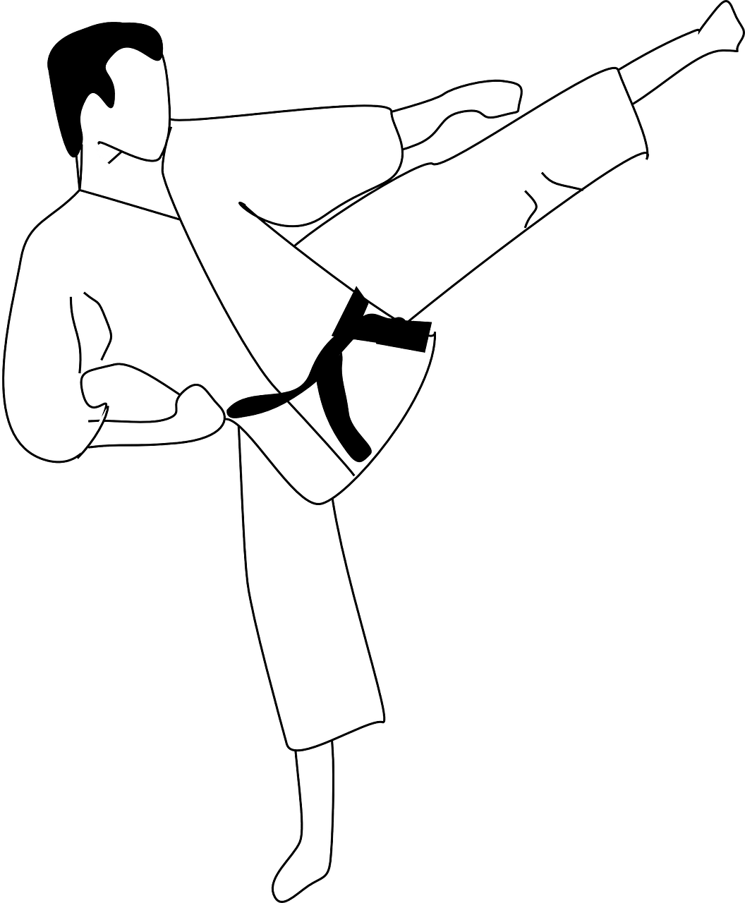 karate, kick, sports-25770.jpg